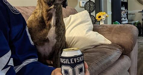 Home On The Couch Pup Vassy Jersey Beer Let S Make The Jersey 9 0 Bolts Imgur