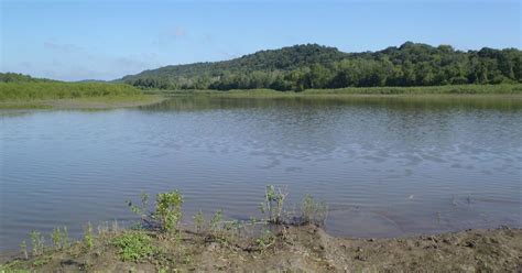Upper Mississippi River Listed Among Most Endangered