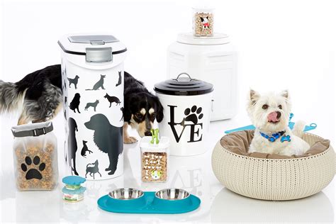Perfect Pet Products For Fido And Co Container Stories