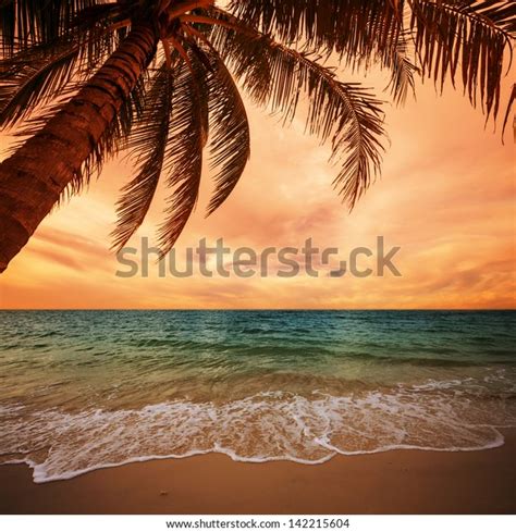Tropical Beach Sunset Stock Photo Edit Now 142215604