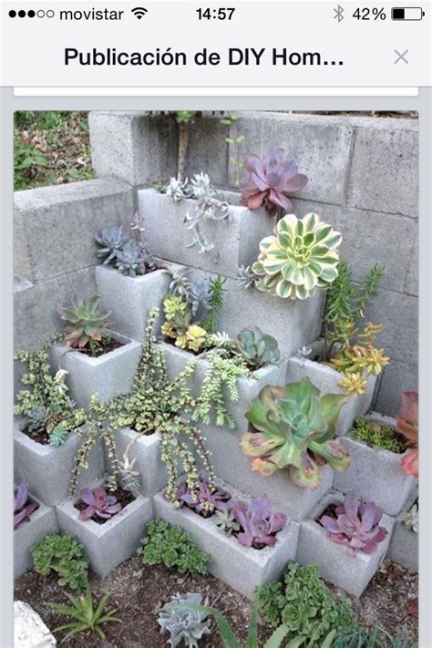 Cómo reutilizar los bloques de hormigón para hacer unas jardineras. Jardinera | Cinder block garden, Succulents garden, Succulents