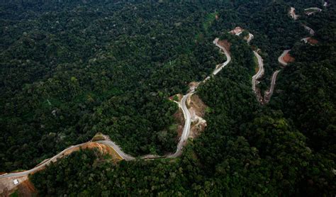 The Amazon Road Paving Paradise For Progress Npr