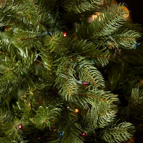 National Tree Co Douglas Fir Downswept 45 Green Artificial Christmas