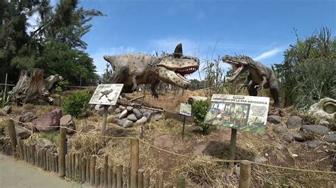 El parque zoológico buin zoo es un zoológico, ubicado en la comuna de buin, región metropolitana de chile. Parque Zoologico Buin Zoo Santiago de Chile - YouTube