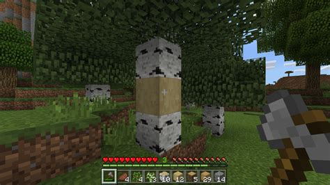 Maybe you would like to learn more about one of these? Update Aquatic Bedrock Beta | Minecraft