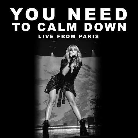 You need to just stop. DOWNLOAD MP3: Taylor Swift - You Need To Calm Down (Live ...