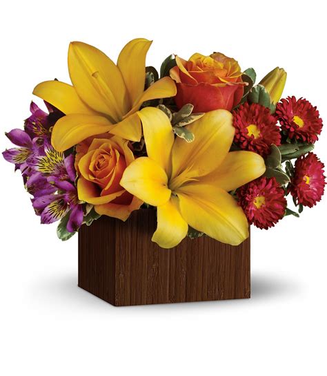 Maybe you would like to learn more about one of these? Teleflora's Full of Laughter in College Station, TX ...