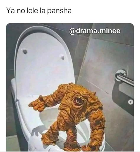 Ya No Lele La Pansha Memes