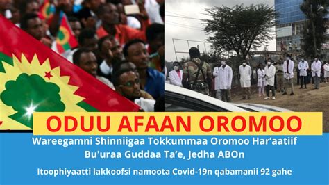 Voa Oduu Afaan Oromoo April 172020 Youtube