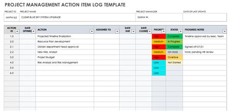 Fern Sandy Tv Station Project Action Tracker Template Excel Gorgeous