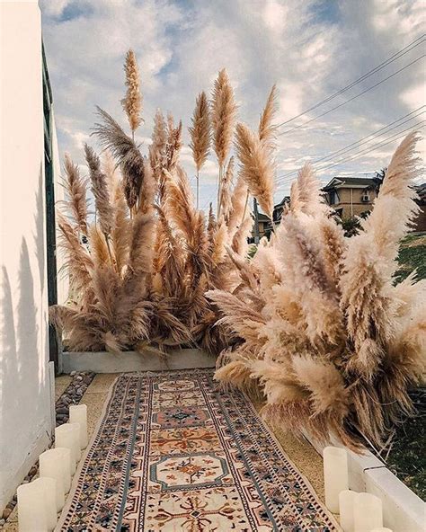 Pampas Grass Decor Ideas Perfect For Any Interior Style Posh Pennies