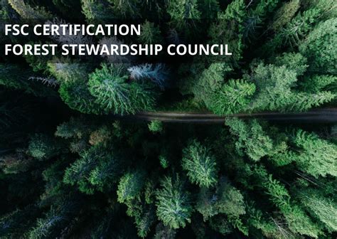 Fsc Certificationforest Stewardship Council