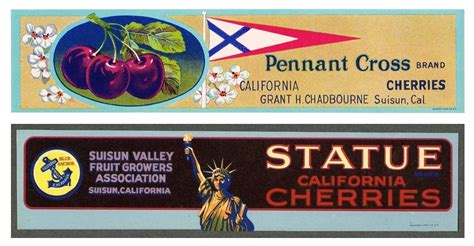 Old Suisuyn Valley Fruit Box Labels