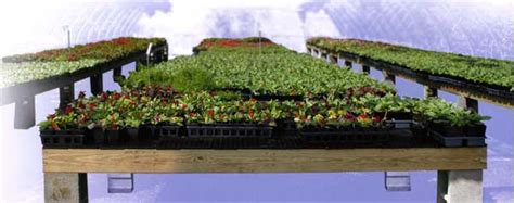 Dura Bench Ultra Plastic Greenhouse Bench Top From Usgr