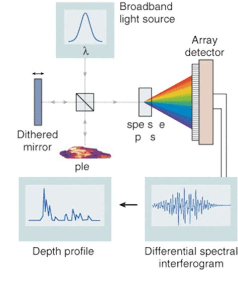 Differential Spectral Interferometry May Boost Dynamic Range Of Oct