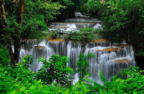 Forest Cascades Forest Lovely Greenery Bonito Trees Cascades