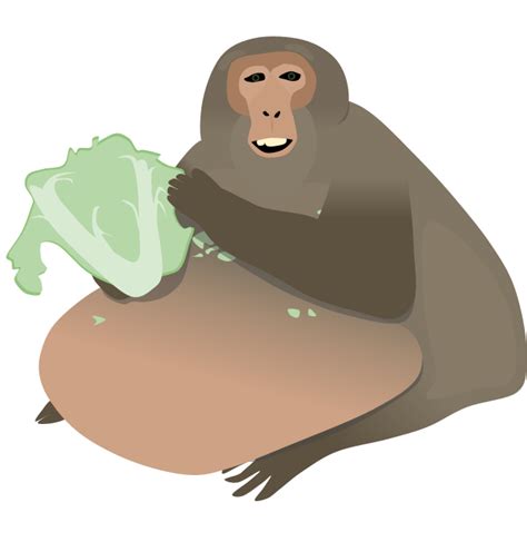 Fan Art Uncle Fatty Obese Monkey Cartoon Also This Servers First