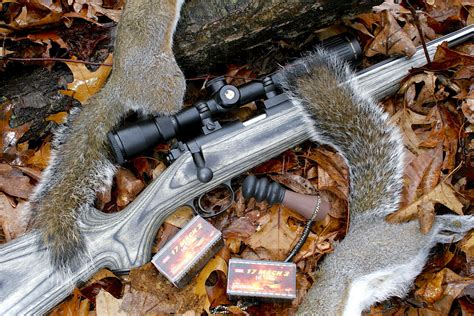 Worlds Smallest Rifle Cartridge And Friends — Ron Spomer Outdoors