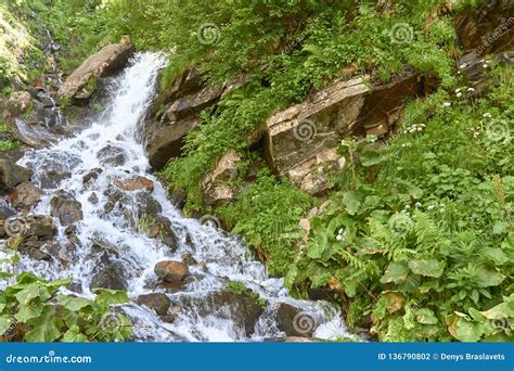 Waterfall And Clear River In A Mountain Stream In A Green Rocky Forest