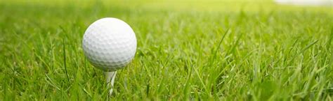Learn More In Detail About Golf Course Grass Palm Desert