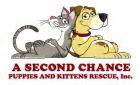 We did not find results for: Welcome to A Second Chance Puppies and Kittens Rescue!
