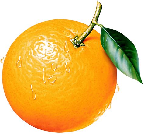 Orange Fruit Clipart Kid
