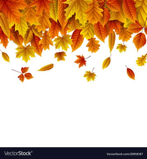 Autumn Leaves Falling White Background Royalty Free Vector