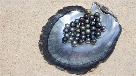 Tahitian Pearls Everything You Need To Know About These Oceanic Gems