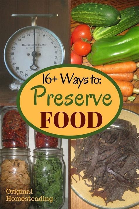 16 Ways To Preserve Food Learn Some Of The More Common Ways To
