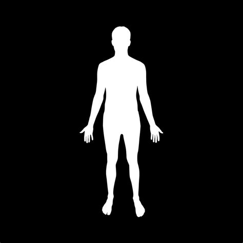 Human Body Muscles Silhouette Royalty Free Vector Ima
