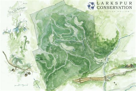 Larkspur Conservation Tennessees Conservation And Natural Burial