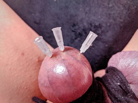 Testicle Skewering Needles In Balls Cbt Session Pics Xhamster Sexiz Pix