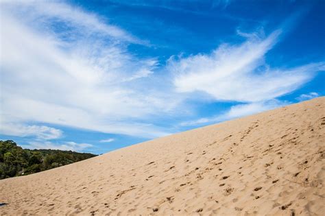 Fraser Island Tour Sand Dunes Rainforests And Beaches Island Tour