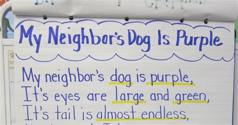 Lacys Letters My Neighbors Dog Is Purple Visualizing