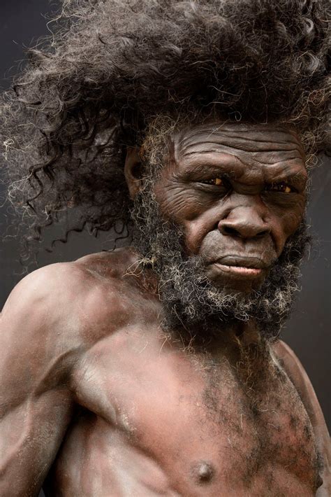 Mød Homo Sapiens det første anatomisk moderne menneske på trappen