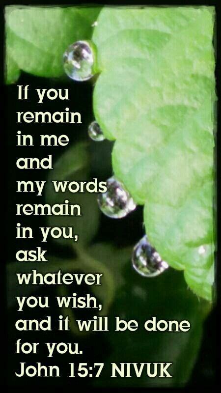 If You Remain In Me And My Words Remain In You Ask Whatever You Wish