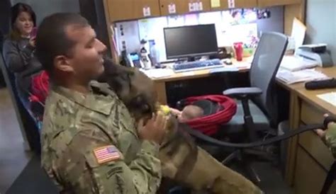 Emotivo Reencuentro Entre Un Soldado Y Su Perro Militar