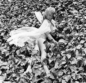 1960s Virginia Bell Nude Lying On A Ivy Patch 8 X 8 Photograph EBay