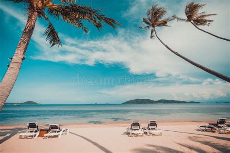 Beautiful Tropical Beach And Sea With Coconut Palm Tree And Chair In