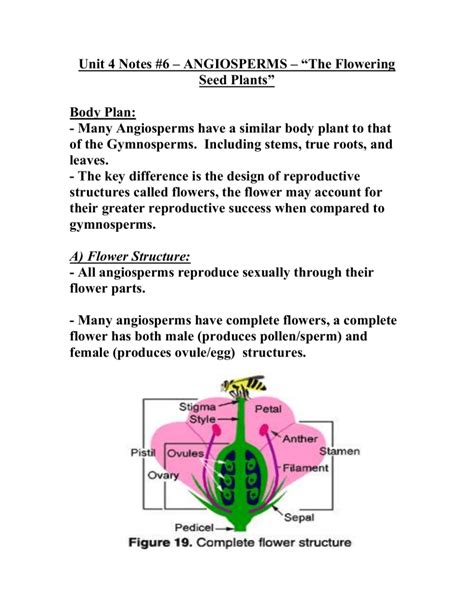 Unit 4 Notes 6 Angiosperms The Flowering Seed Plants