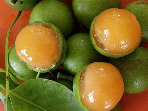 Mamones Venezolanos Una Fruta Que Extraño Un Montón Fruit Jamaican