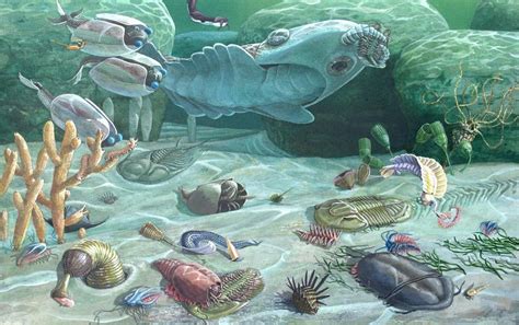 The Cambrian Period Dinosaurs Pictures And Facts