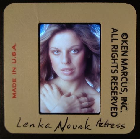 Km Lenka Novak Penthouse Playboy Oui Juggs Orig Ken Marcus Mm Color Slide Ebay