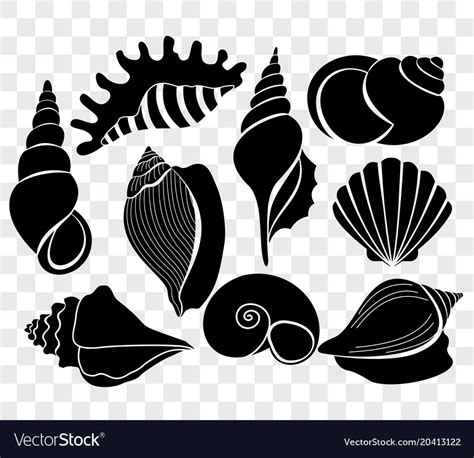 Set Of Beautiful Sea Shells Royalty Free Vector Image