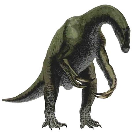 Картинки с динозавром Теринозавр Therizinosaurus — Энциклопедия