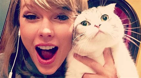 9 Celebrities Who Really Really Love Their Cats