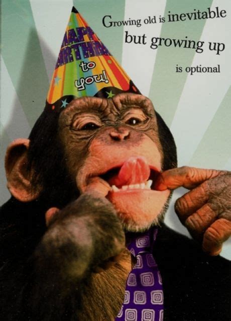 Funny Birthday Memes Monkey ~ Funny Birthday Memes