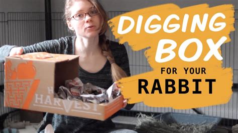 How To Stop Rabbit From Digging In Litter Box New Update