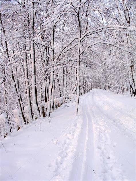 Snowy Road — Stock Photo © Tatisol 15451757