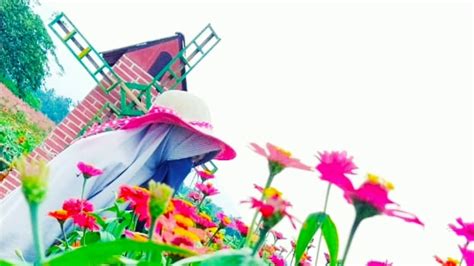 6 taman bunga dengan pemandangan paling spektakuler di dunia.booking hotel di pandeglang higiene jadwal fleksibel tanpa cemas. Taman Bunga Rokoy Pandeglang - Pesona Taman Bunga Kadung ...